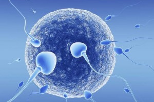Мифы о зачатии